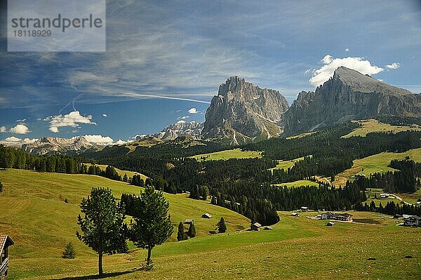 Hochalm  Almregion  Almgebiet  Sommer  Dolomiten  Südtirol  Seiseralm  Langkofel  Plattkofel  UNESCO-Welterbe