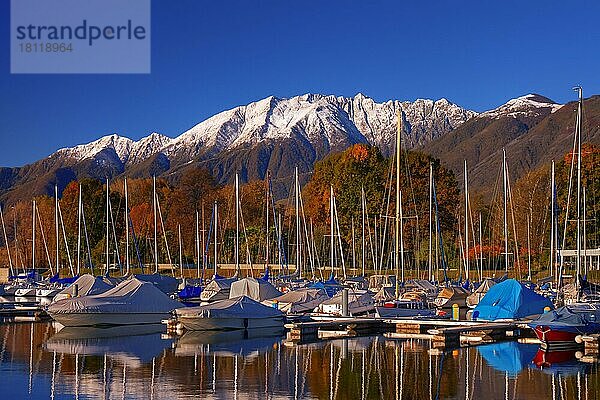 Segelboote  Lago Maggiore  Ascona  Bezirk Locarno  Kanton Tessin  Ticino  Langensee  Schweiz  Europa