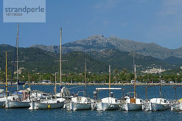 Hafen von Port d Andratx  Mallorca  Mallorca  Balearische Inseln  Spanien  Europa