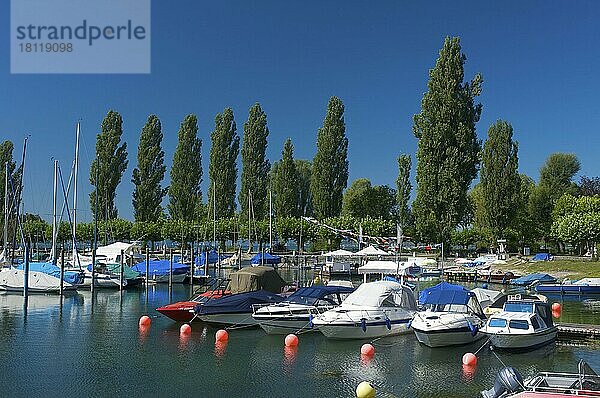 Hafen in Uhldingen-Mühlhofen  Muehlhofen  Bodensee  Baden-Württemberg  Deutschland  Europa