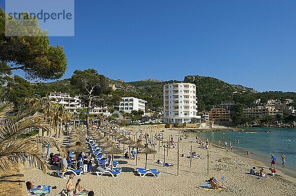 Strand von Sant Elm  Telmo  Mallorca  Balearen  Spanien  Europa