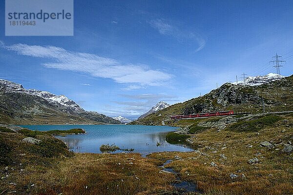 Zug der Rhätischen Bahn am Lago Bianco  Bernina  Oberengadin  Engadin  Schweiz  Europa