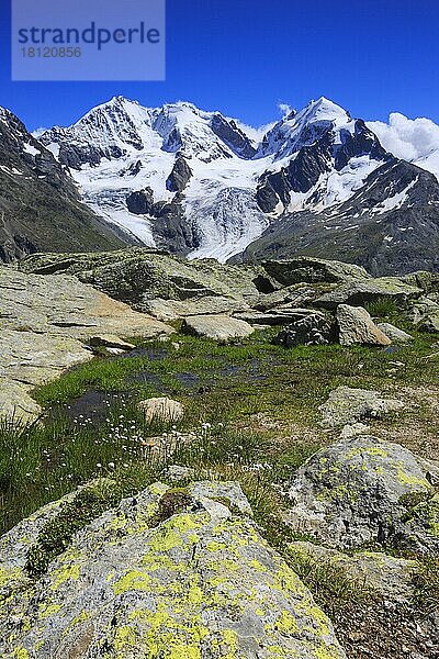 Piz Tschierva  3546 m  Piz Bernina  4049 m  Biancograt  Piz Roseg  3937 m  Graubünden  Schweiz  Europa