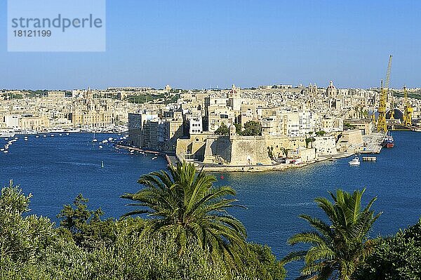 Blick von Valetta auf Vittoriosa  Malta  Europa