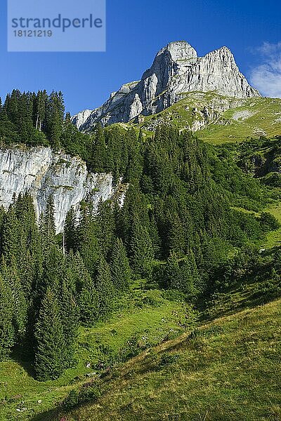 Eggstock  Braunwald  Glarus  Glarner Alpen  Schweiz  Europa