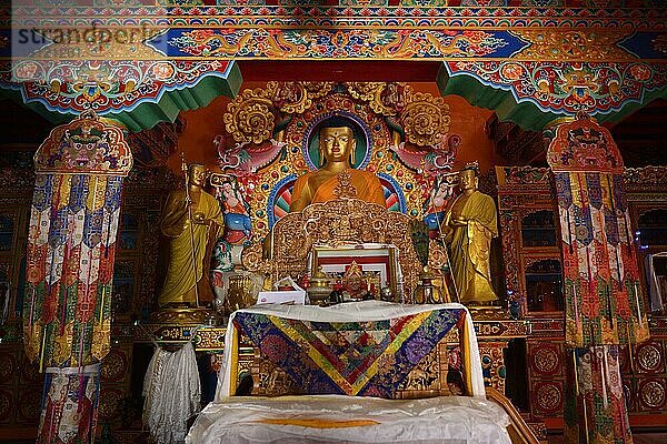 Buddha-Statue  Kloster Matho  Ladakh  Jammu und Kaschmir  Indien  Asien