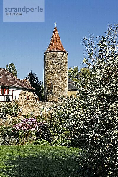 Turm  Stadtmauer  Prichsenstadt  Unterfranken  Bayern  Deutschland  Europa