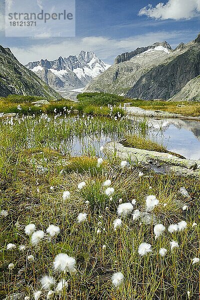 Schweizer Alpen  Grimselsee  Bern  Schweiz  Europa