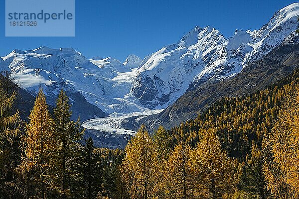 Piz Palü  3905 m  Piz Bernina  4049 m  Morteratsch-Gletscher  Biancograt  Oberengadin  Graubünden  Schweiz  Europa
