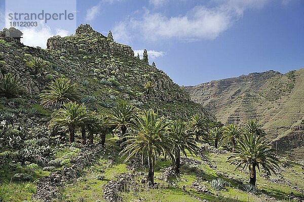 Valle Gran Rey  La Gomera  Kanarische Inseln  Spanien  Europa