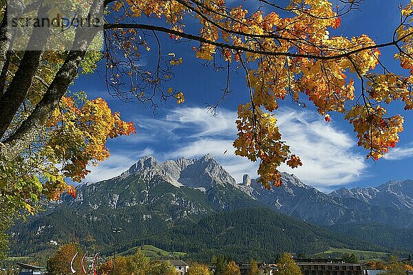 Blick von Saalfelden auf das Steinerne Meer  Pinzgau im Salzburger Land  Österreich  Europa