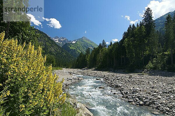 Stillachtal bei Oberstdorf  Allgäu  Bayern  Deutschland  Europa