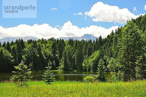 Bergsee  Bergwald  Frühling  Loisachtal  Bayern