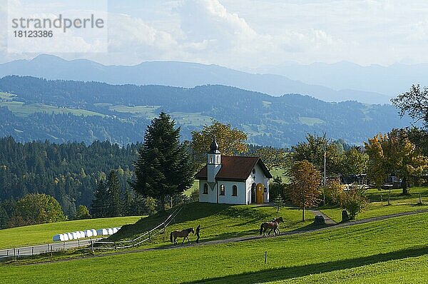 St. Hubertus Kapelle  Forts bei Scheidegg  Allgäu  Bayern  Deutschland  Europa