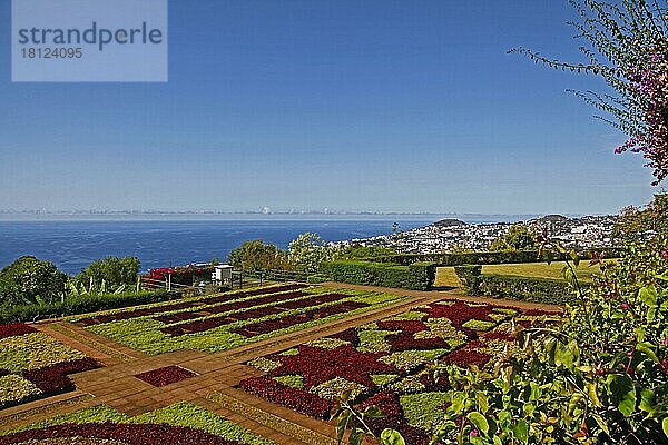 Botanischer Garten  Jardim Botanico  Funchal  Insel Madeira  Portugal  Europa