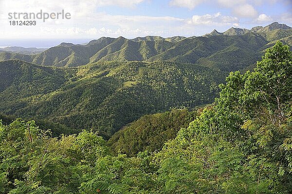 Sierra del Purial  Baracoa  Kuba  Mittelamerika