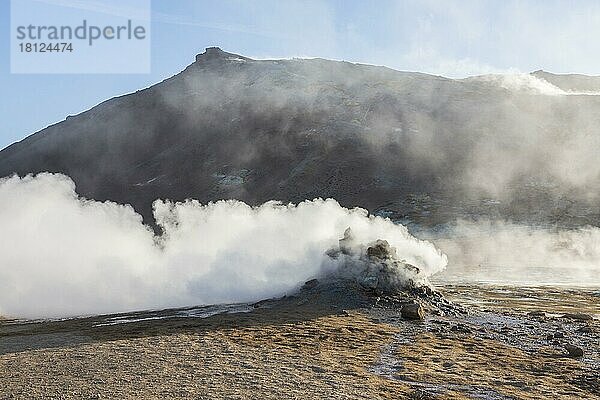 Namafjall Hverir  Themalgebiet mit Sulfataren  Island  Europa