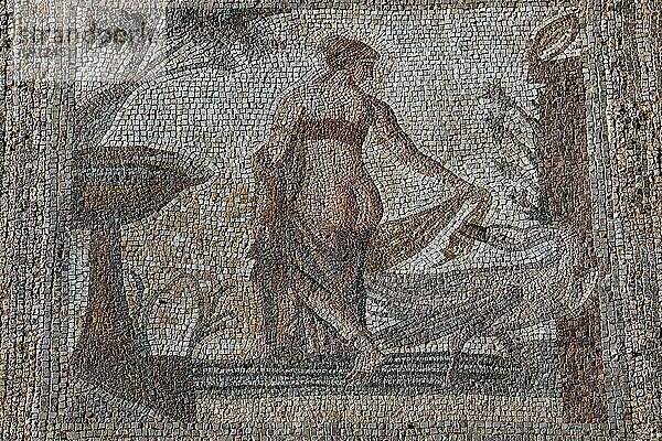 Mosaik Leda und der Schwan  Ausgrabungsstätte Alt-Paphos  Kouklia  Zypern  Europa