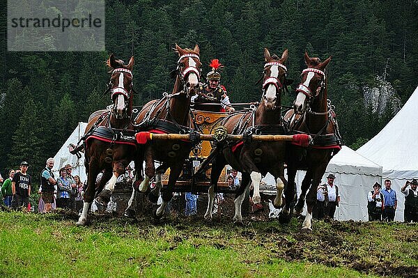 Brauchtum  historisch  Pferde  Wagenrennen  römisch