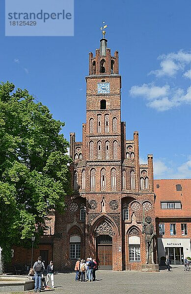 Rathaus  Altstädtischer Markt  Brandenburg an der Havel  Brandenburg  Deutschland  Europa