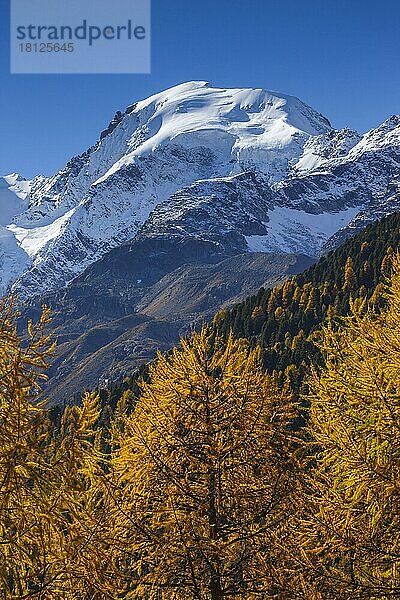 Piz Morteratsch  3751  Oberengadin  Biancograt  Graubünden  Schweiz  Europa