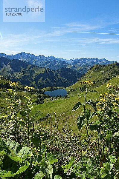 Seealpsee  Laufbacher Eck-Weg  Nebelhorn  Oberstdorf  Allgäu  Bayern  Deutschland  Europa