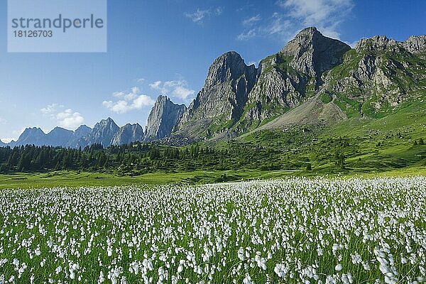 Alviergruppe  Alvierkette  St. Gallen  Schweiz  Europa