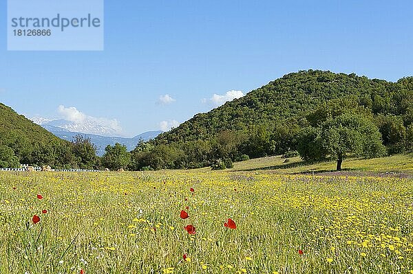 Landschaft mit Blick auf das Beydaglan/Bey Daglari Gebirge  Riviera  türkische Südküste  türkische Südküste bei Kas  Lykien  Türkei  Asien