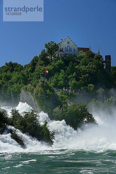 Rheinfall mit Schloss Laufen  Schaffhausen  Schweiz  Europa