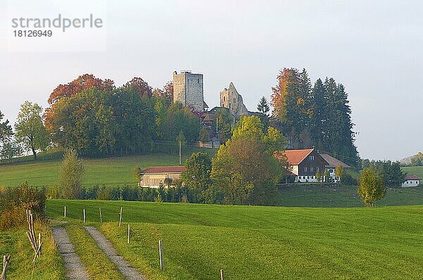 Burgruine Sulzberg im Oberallgäu  Allgäu  Bayern  Deutschland  Europa