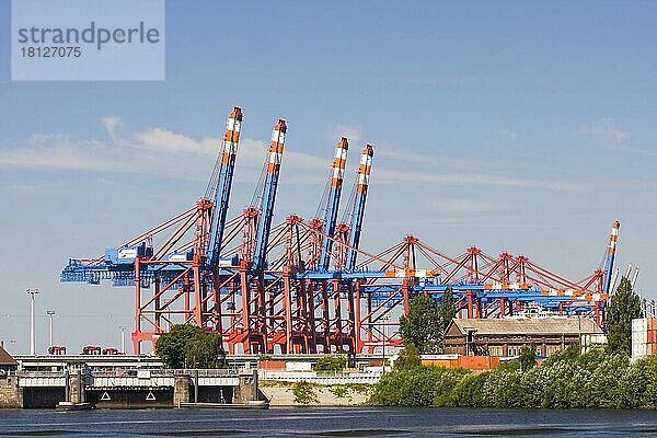 Kräne in Hafen  Containerterminal Eurokai  Hamburger Hafen  Hamburg  Deutschland  Europa