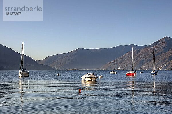 Boote  Lago Maggiore  Ascona  Tessin  Ticino  Langensee  Schweiz  Europa