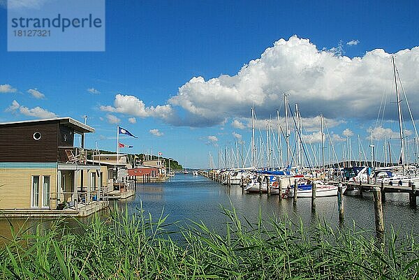 Yachthafen  Bodden  Marina  Lauterbach  Insel  Rügen  Mecklenburg-Vorpommern  Deutschland  Europa