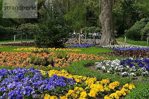 Blumenbeete  Luiseninsel  Park  Großer Tiergarten  Tiergarten  Berlin  Deutschland  Europa