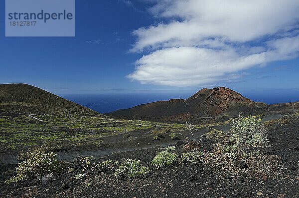 Vulkan Teneguia  La Palma  Kanarische Inseln  Spanien  Europa