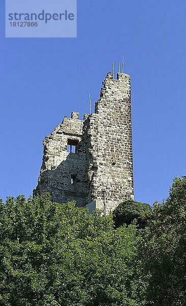 Burg Drachenfels  Königswinter  Nordrhein-Westfalen  Deutschland  Europa
