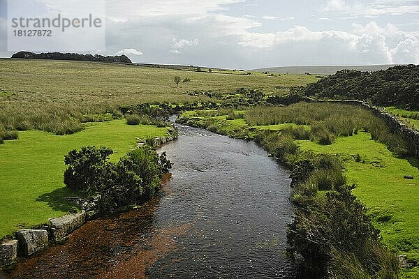 West Dart  Dartmoor Nationalpark  Devon  England  Großbritannien  Europa