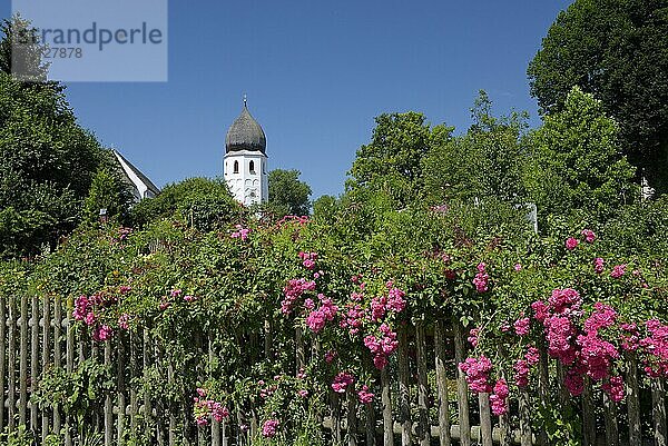 Klostergarten mit blühenden Blumen und dem Kampanile  Glockenturm der Klosteranlage Fraueninsel  Juli  Fraueninsel  Chiemsee  Chiemgau  Bayern  Deutschland  Europa