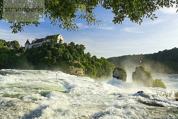 Rheinfall mit Schloss Laufen  Schweiz  Europa
