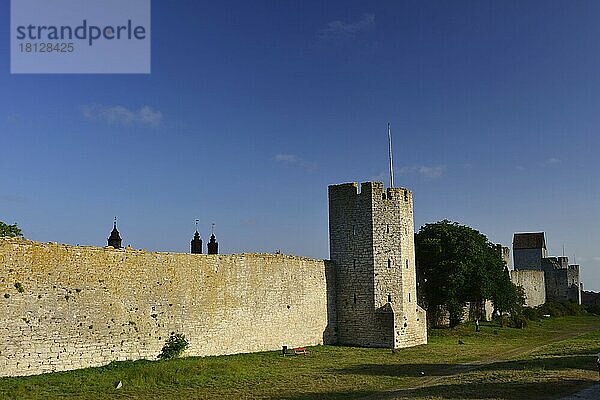 Stadtmauer  Visby  Gotland  Schweden1