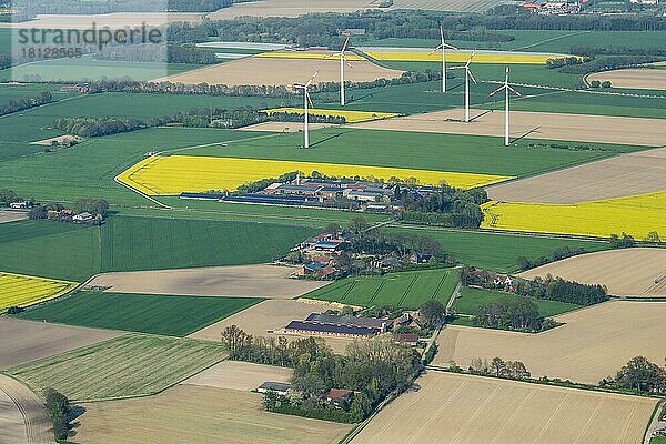 Windkrafträder  Blick von Herrenholz Richtung Rechterfeld  Oldenburger Münsterland  Landkreis Vechta  Niedersachsen  Deutschland  Europa