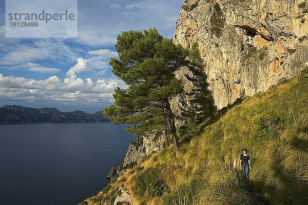 Trekking  Mirador de Penya Rotja  Badia de Pollenca  Mallorca  Balearen  MR  Spanien  Europa