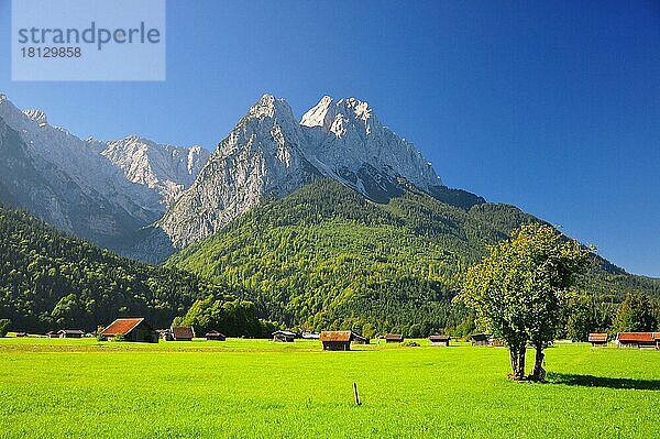 Sommer  Zugspitzgruppe  Waxensteine  Bayern  Garmisch-Partenkirchen  Deutschland  Europa