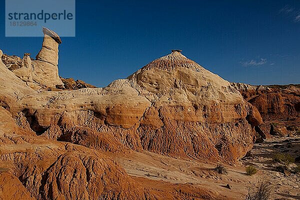 Fliegenpilze  Grand Staircase Escalante NM  Utah  USA  Nordamerika