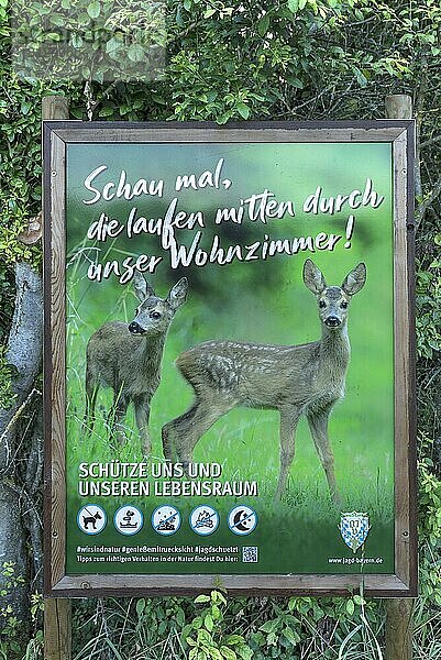 Tierschutz  Plakat für Schutz der Waldtiere  Bayern  Deutschland  Europa