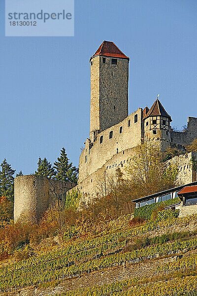 Burg Hornberg  Neckarzimmern  Baden-Württemberg  Deutschland  Europa