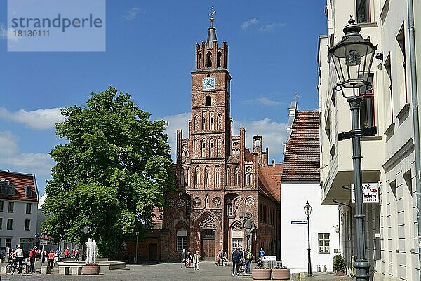 Rathaus  Altstädtischer Markt  Brandenburg an der Havel  Brandenburg  Deutschland  Europa