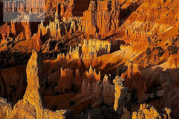 Bryce Canyon  Utah  USA  Nordamerika