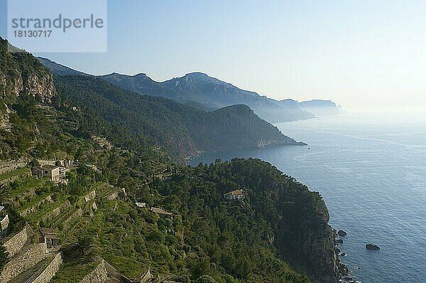 Terrassen bei Banyalbufar  Mallorca  Mallorca  Balearische Inseln  Spanien  Europa