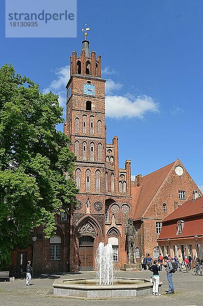 Rathaus  Altstädtischer Markt  Brandenburg an der Havel  Brandenburg  Deutschland  Europa